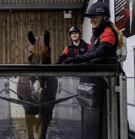 Equine Water Treadmills: Fact and Fiction