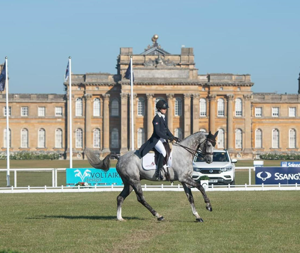 blenheim