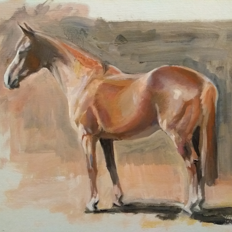 ARES Equine Illustration and Painting