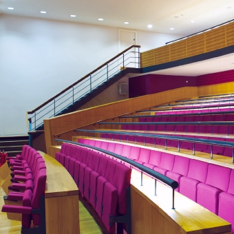 Edmond J Safra Lecture Theatre