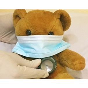 Image of a teddy bear with a mask on