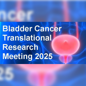 Banner for Bladder Cancer Translational Research