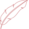 picture of a feather