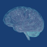 IoPPN web site image of the brain