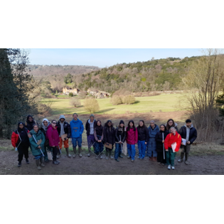 People standing on a hill