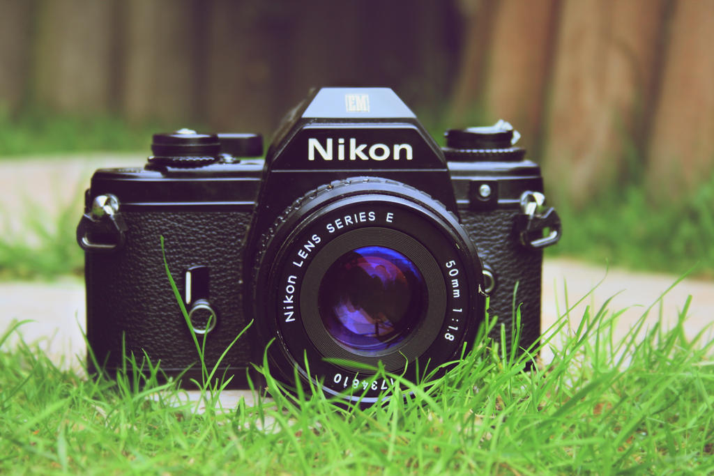 Camera
