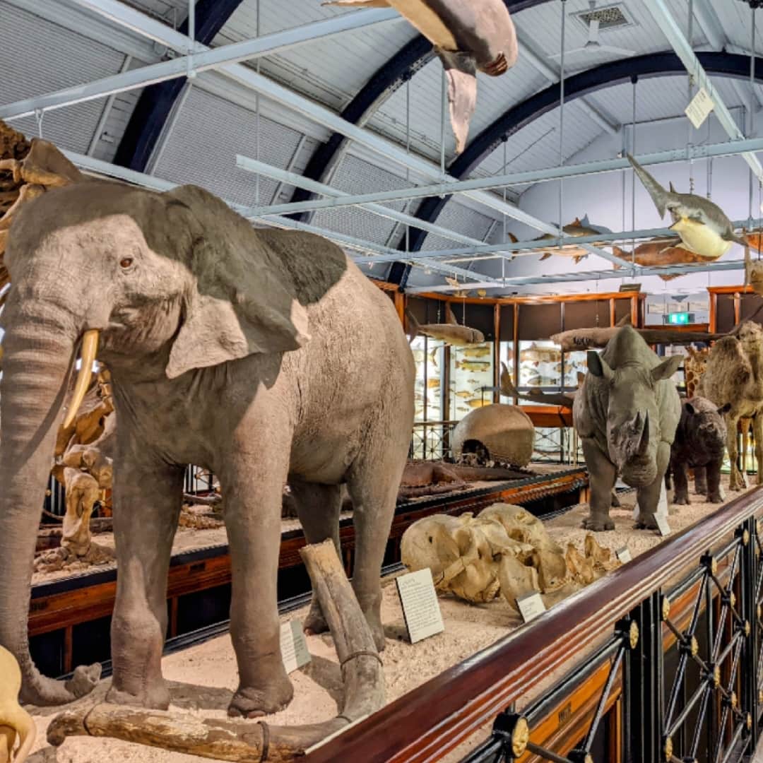 Museum