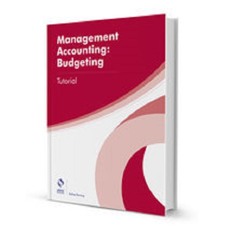 Management accounting: budgeting