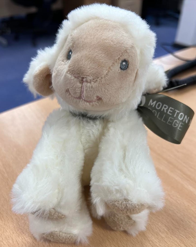 Cuddly Soft Toy Lambs 2023