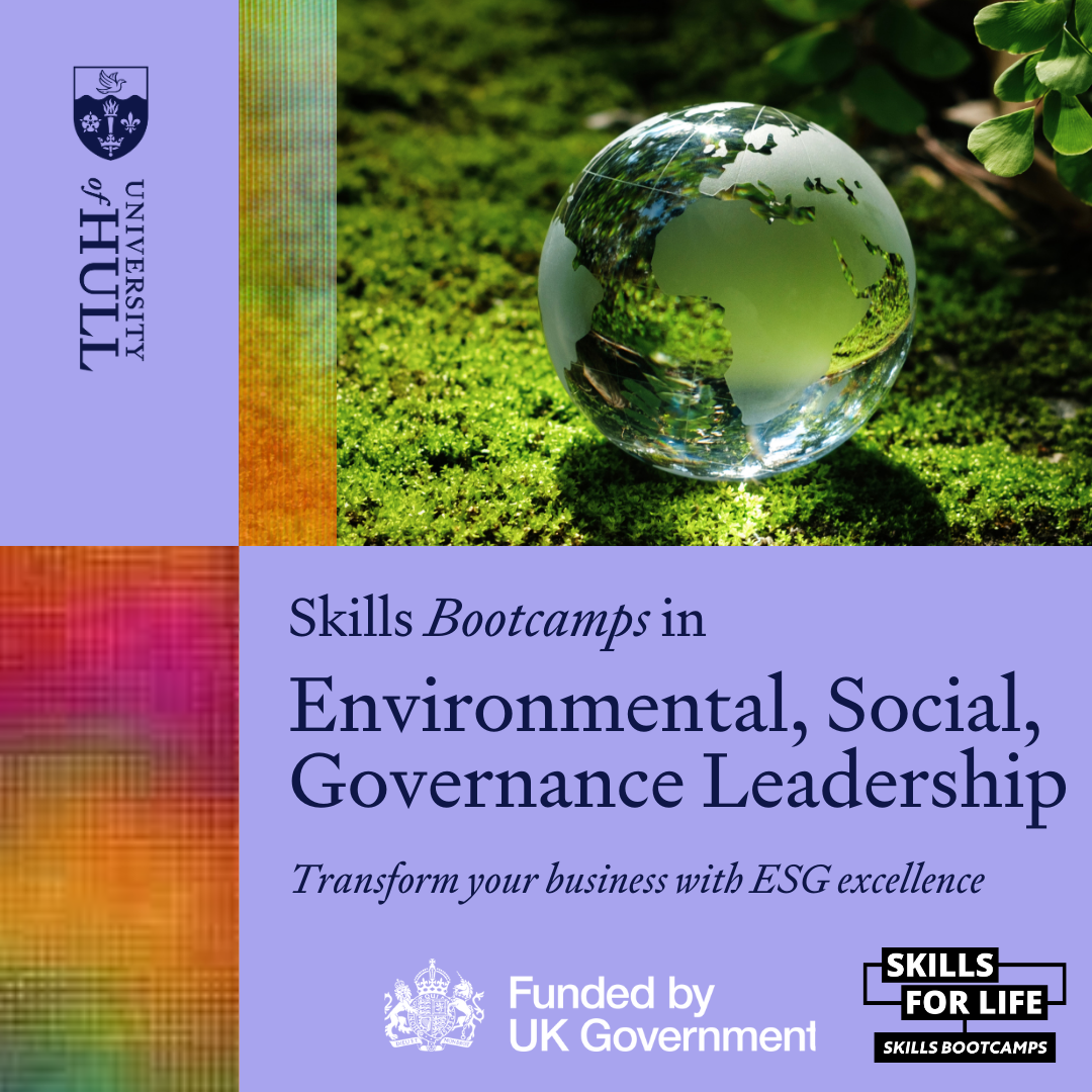 Environment, Social, and Governance Leadership Programme