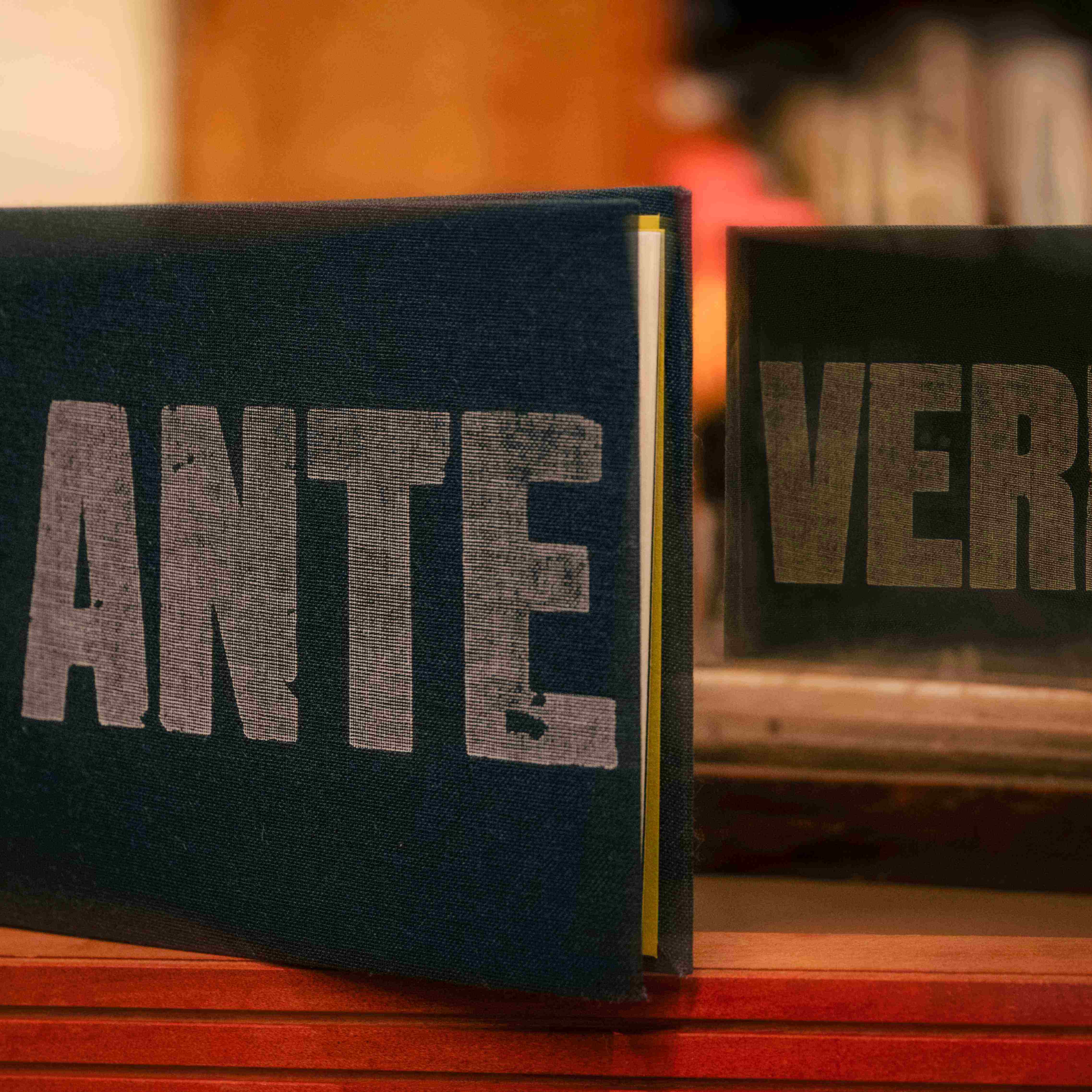 Anteverbs by Thin Ice Press