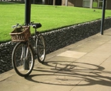 A bike outside Derwent College