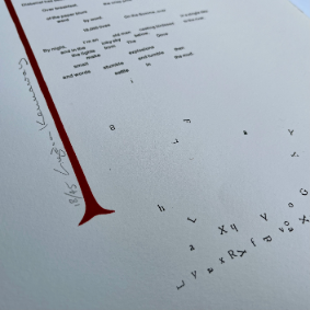 Doves Broadside by Lydia Kennaway