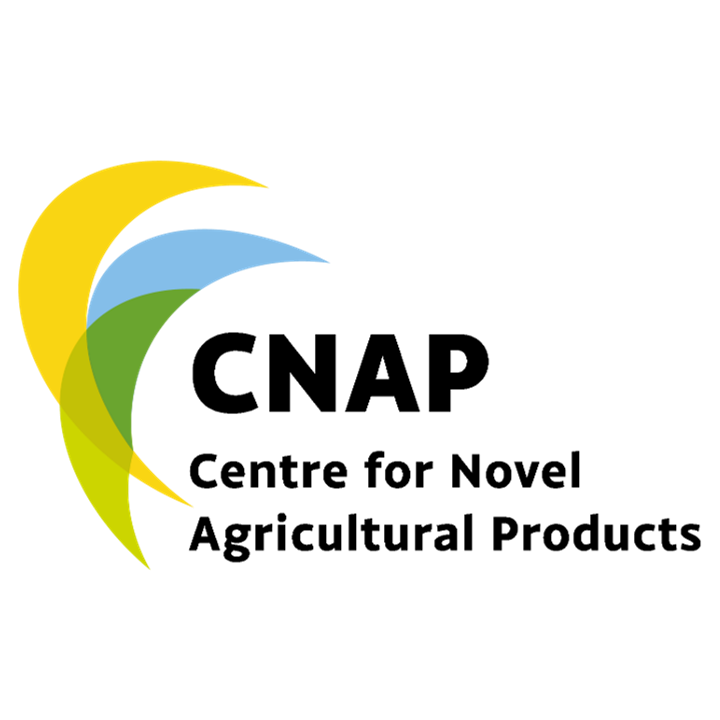 CNAP logo